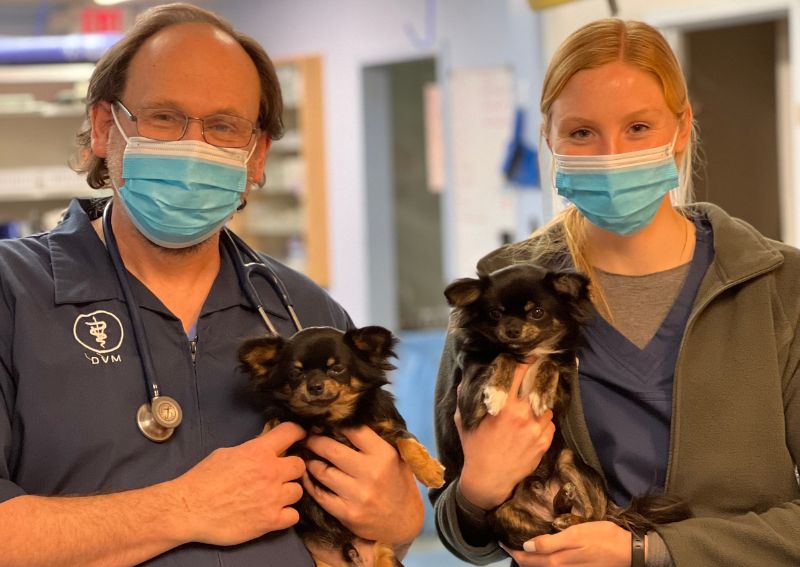 Goosepond Animal Hospital | Monroe veterinary hospital